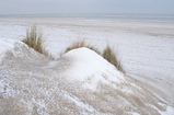 Foto Dünen im Winter