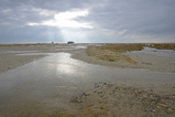 Foto Salzwiesen in St.Peter Ording