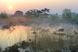 Foto Sonnenaufgang im Moor